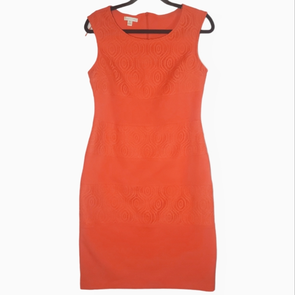 London Times Bright Coral Lace Stripe Bodycon Dress Sz 8